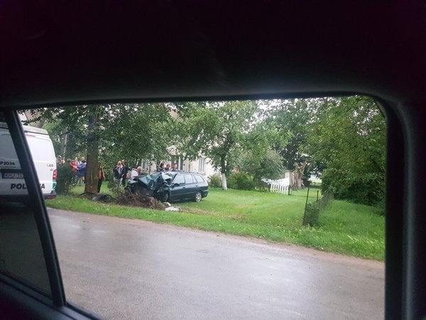 Įkaušusio vairuotojo kelionę sustabdė pakelės medis