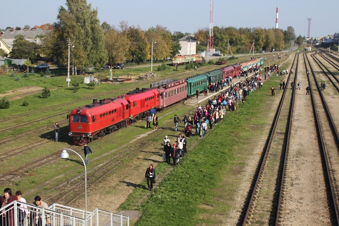 Anykščių rajone bus švenčiamas 124-asis siauruko gimtadienis