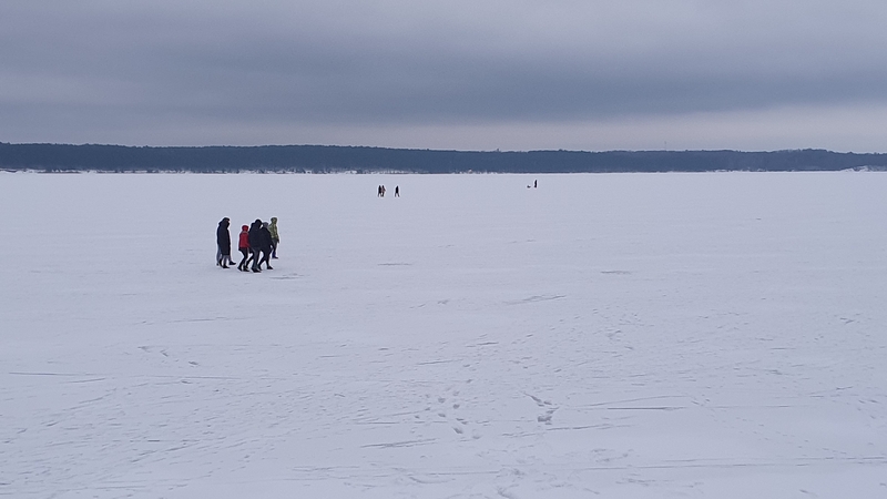 Neatsakingas elgesys: ant Kauno marių ledo lipa būriais