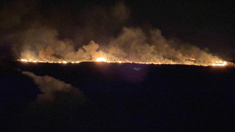 Šakių rajono meras apie Kaliningrado srityje deginamą žolę: apokaliptiniai vaizdai 