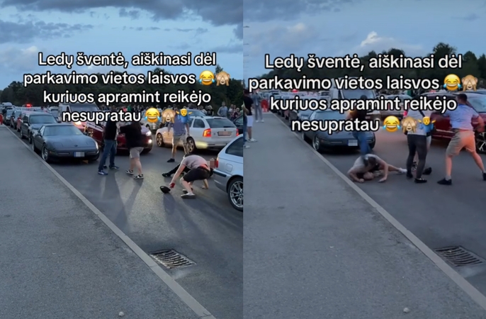 Po Ledų šventės išplitęs muštynių vaizdo įrašas: du vyrus smūgiai parbloškė ant žemės