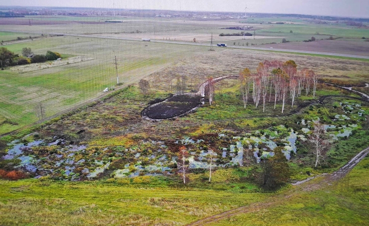 Palangos meras kreipėsi į prokuratūrą: brutaliai iškirsta daugiau kaip tūkstantis medžių
