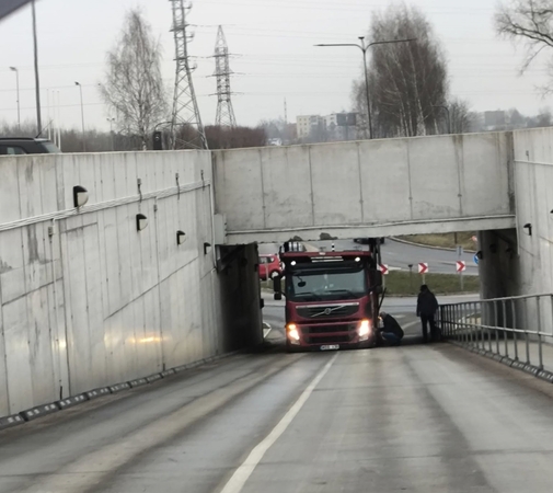 Vilkikas įstrigo, bet vairuotojas rado išeitį