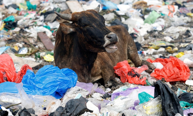 Už plastikinių maišelių naudojimą Kenijoje – 38 tūkst. JAV dolerių bauda