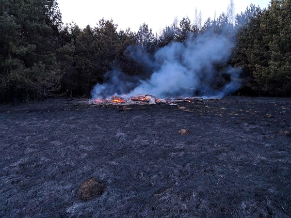 Ugniagesiai skubėjo gesinti mišką ir pastatus naikinančio gaisro