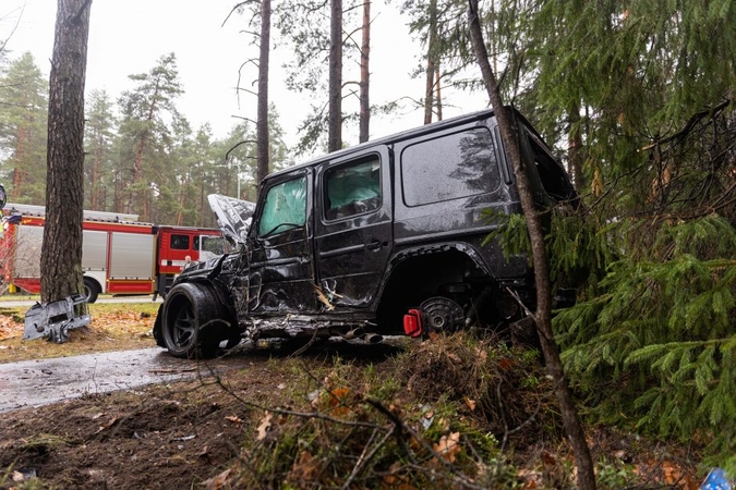 „Mercedes-Benz“ avarija Nemenčinės plente: vairuotojas papasakojo, kodėl rėžėsi į medžius