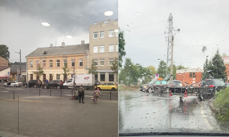 Dėl masinių kaktomušų Kauno gatvėse kalta miestą skalavusi liūtis?