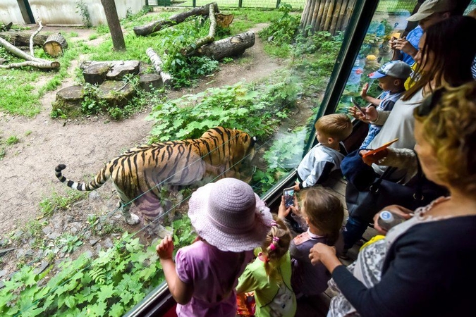 Lietuvos zoologijos sodas pradeda naują sezoną: atidarymas žada įdomybių