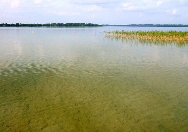 Anykščių rajone – nerimas dėl paplūdimio prie Alaušo ežero likimo 