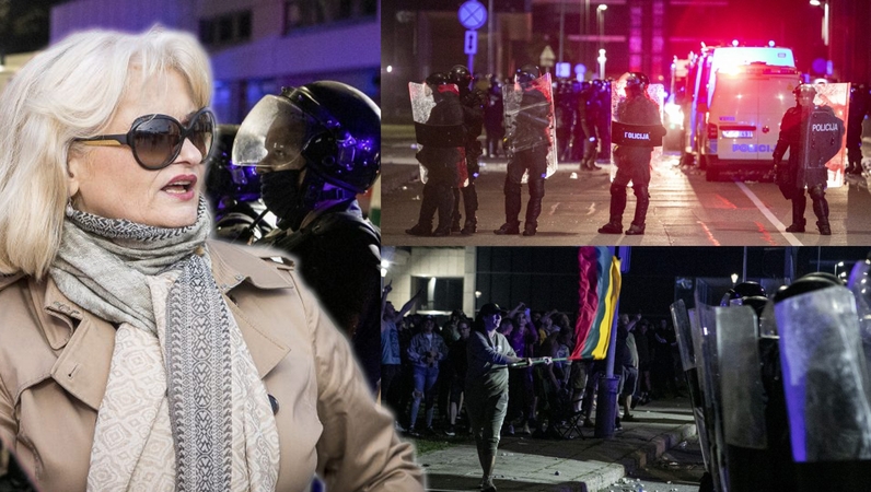 A. G. Astrauskaitei pateikti įtarimai riaušių prie Seimo byloje