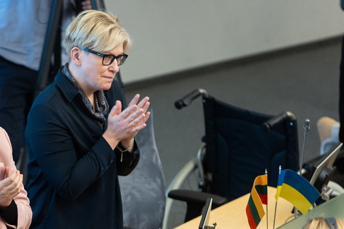 Premjerė apie vokiečių brigadą: padirbėti reikės ne tik Vyriausybei, bet ir Prezidentūrai