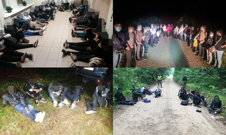 Pagalbos prašymas: ar Kaunas priims dalį nelegalių migrantų?