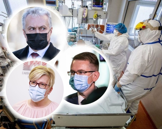 I. Šimonytė gina prezidento sukritikuotą A. Dulkį: lengviausiai pulti tą, kuris yra įvykio sūkuryje