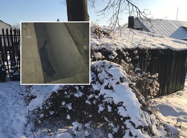 Apleistame garaže įstrigo ir šalo šuo: tarnybų neprisikvietė visą dieną