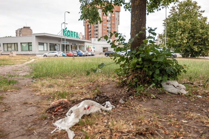 Lemtis: provokacijai pasidavusi žudikų auka pateko į spąstus šiame Kalniečių parkelyje.