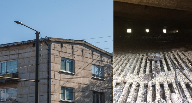 Klausimas: plika akimi matyti, kad šio Panemunės daugiabučio namo palėpėje gyvena balandžiai. Ar ir juos bus mėginama užmūryti namo renovacijos metu?