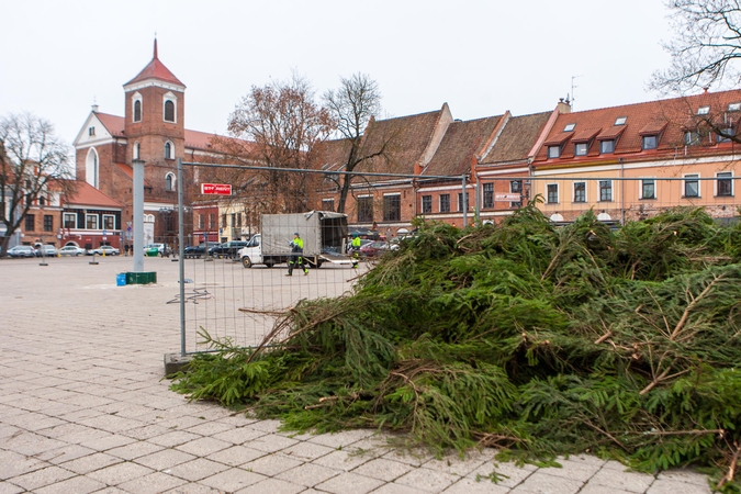 Į Rotušės aikštę atkeliavo Kauno Kalėdų eglė