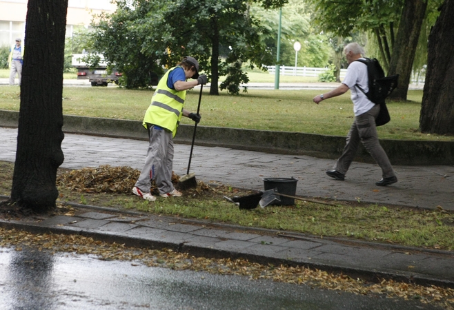 Spalio mėnesį Klaipėdoje – griežta žaliųjų atliekų tvarkymo kontrolė