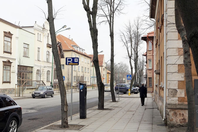 Liepų gatvėje vėl kirs medžius