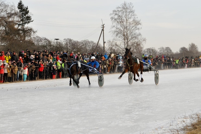 Žirgų lenktynėms "Sartai 2015" vėl teisėjaus A. Muntvydaitė