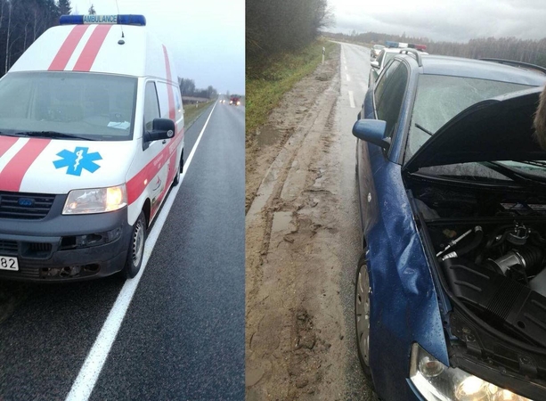 Smūgiai: kelyje Palanga–Plungė stirna taranavo medikų automobilį, o šalia Dovilų briedis trypė "Audi".