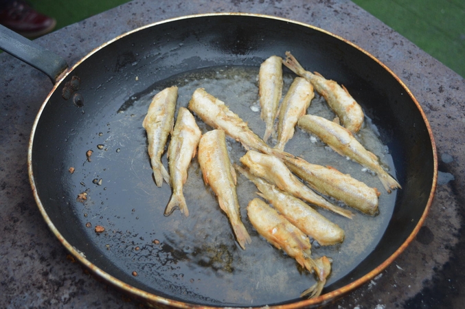 Stintų šventėje – ypatingas gintarinis prieskonis