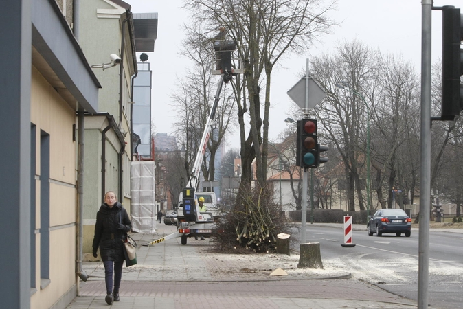 Perpildė: per pirmąjį šių metų ketvirtį miesto želdiniams atkurti į specialią savivaldybės sąskaitą jau yra sumokėta beveik 200 tūkst. litų.