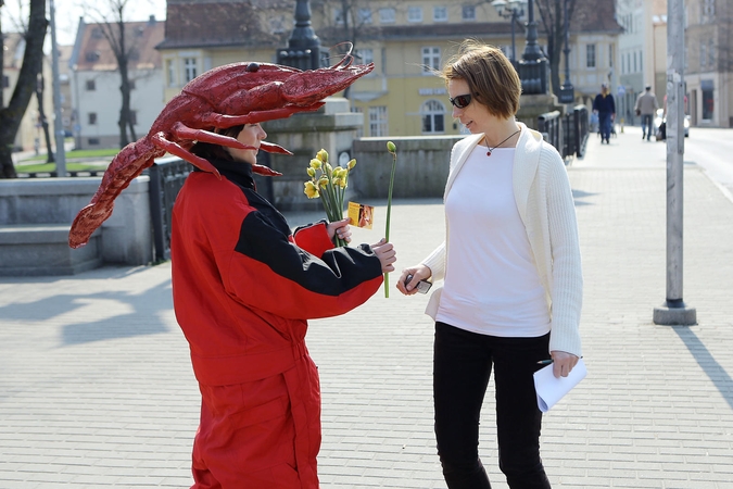 Onkologinių ligų prevencijai – narcizų žiedai