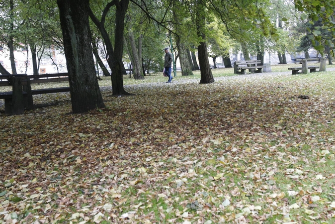 Darbai: pastaruoju metu prižiūrėtojai nespėja šluoti lapų.