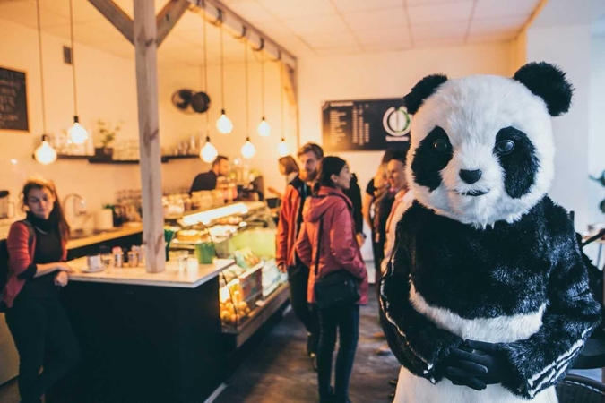 Klaipėdos lėlių teatro žingsniai 2019-aisiais
