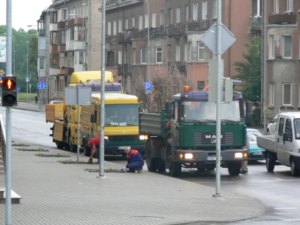 Minijos gatvėje išrovė nudžiūvusius medelius