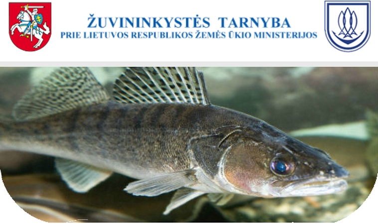 Paaiškėjo, kas laimėjo Žuvininkystės tarnybos konkursą