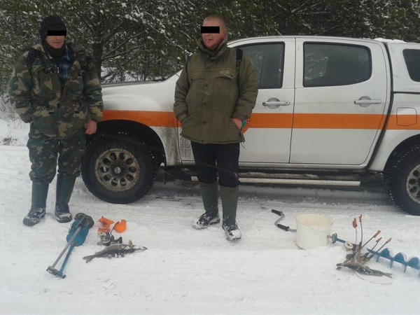 Sužvejotos lydekos brangiai kainuos
