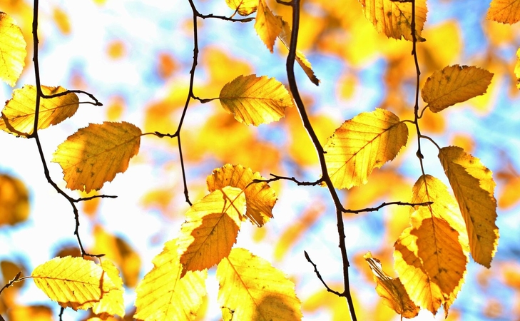 Rudens pradžia – gana šilta, bet lietinga