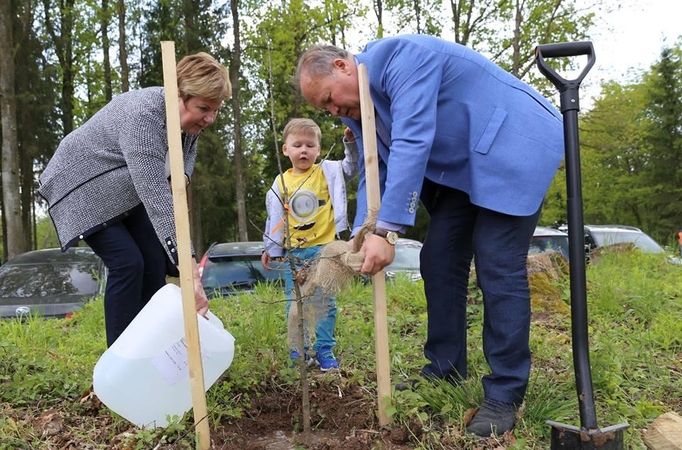 Girionyse – Šeimų ąžuolyno pradžia