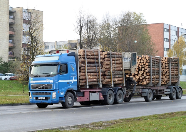 Kas gaudys skiedrų naudą?