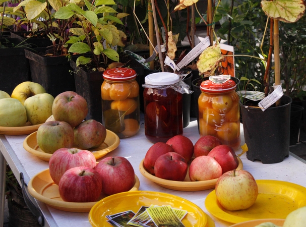 Rudens gėrybių ir amatų mugė Laisvės alėjoje karaliaus tris dienas