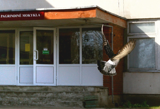 Kuo baigėsi Kauno mokyklų pertvarka?