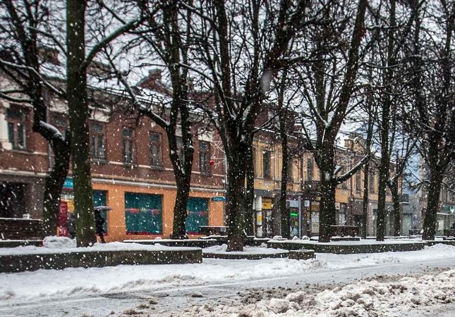 Apleistų pastatų savininkams grūmoja baudomis