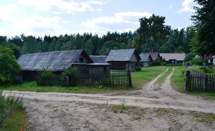 Dzūkijoje atgimsta du etnografiniai kaimai