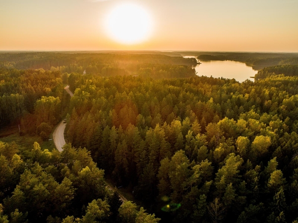 STT: teisės aktai ir savivaldybių sprendimai nepagrįstai varžo galimybes lankytis miškuose