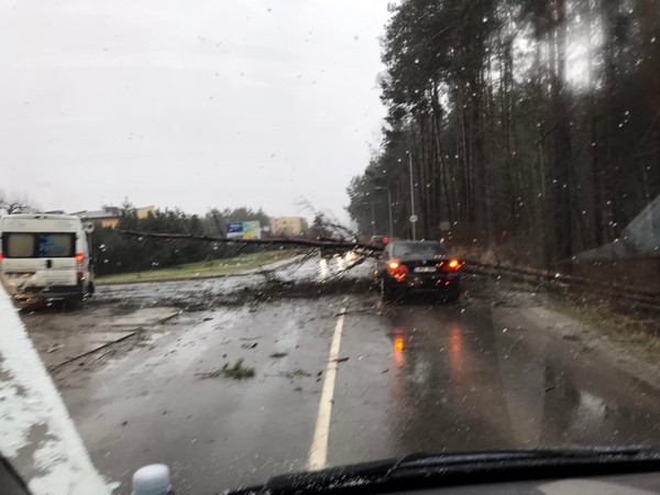 Lietuvoje užfiksuotas katastrofinio stiprumo vėjo greitis