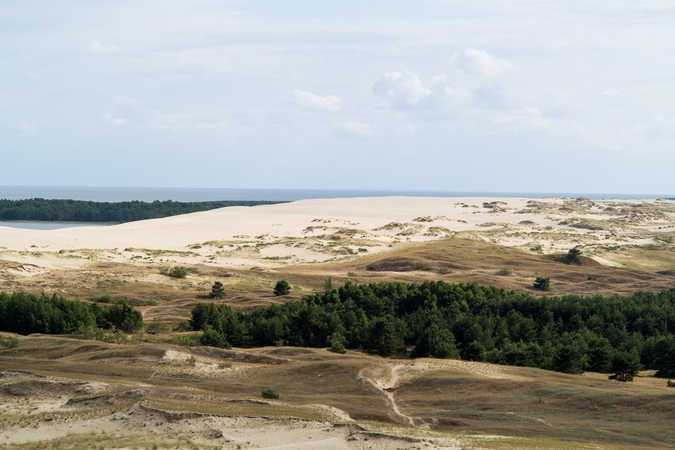 Kuršių nerijoje baigta tvarkyti žiemą apgadinta aplinka