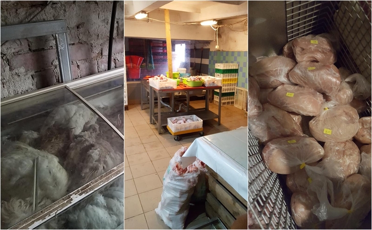 Paukščių ūkyje Tauragės rajone – daugybė pažeidimų