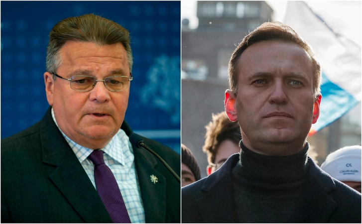 L. Linkevičius: žinios, kad A. Navalnas galėjo būti apnuodytas, kelia nerimą