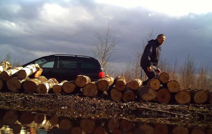 Kauno rajone pavogta mediena (gal atpažįstate vagį?)