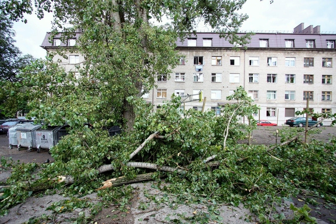 Dažni perspėjimai apie vėją gali užmigdyti gyventojų budrumą?