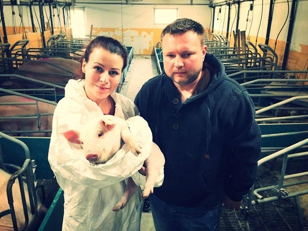 Kiaules tik per televizorių matęs lietuvis Danijoje tapo fermos viršininku