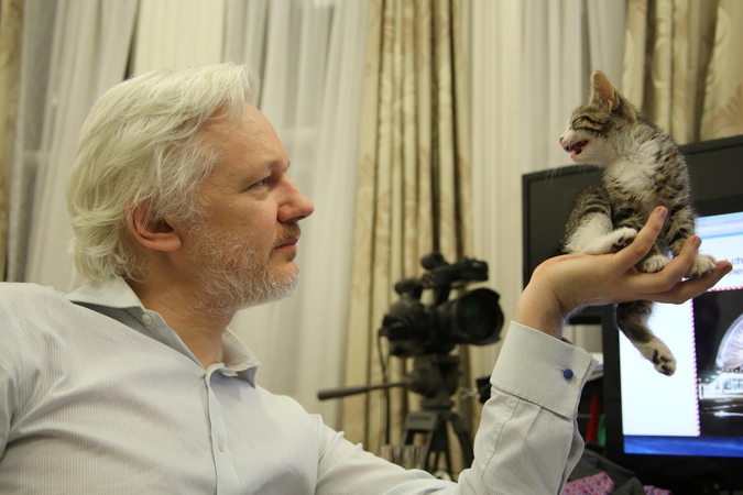 Julianas Assange'as