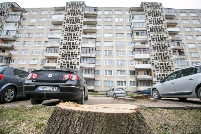 Konfliktas su namo bendrijos pirmininke – dėl medžių ir benamių